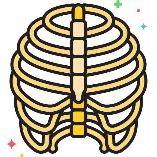 Bones healthcare and medical medical skeleton icon