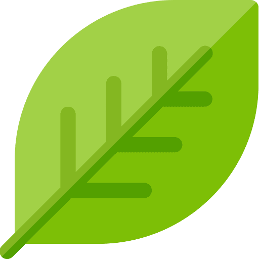 Leaf autumn fall leaf icon