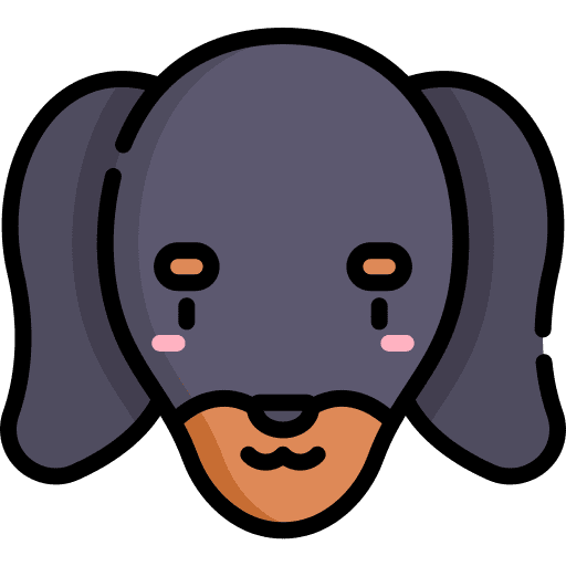 Dachshund animals animal kingdom mammal icon