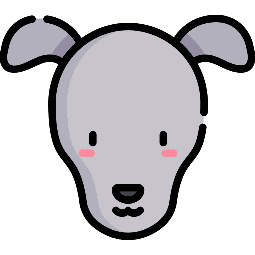 Greyhound mammal dog animals icon