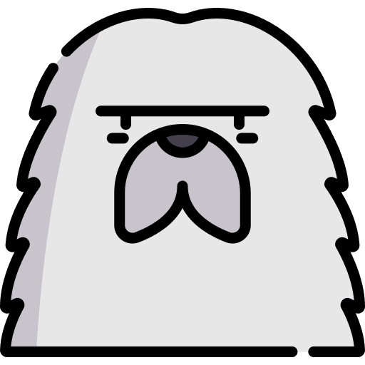 Old english sheepdog animals pet mammal icon