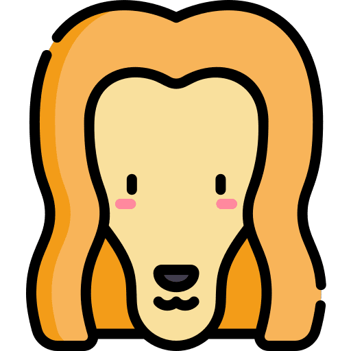 Afghan hound dog animals afghan hound icon