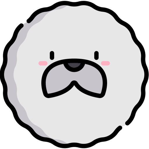 Bichon frise bichon frise dog pet icon