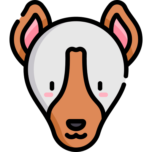 Ibizan hound pet animals mammal icon