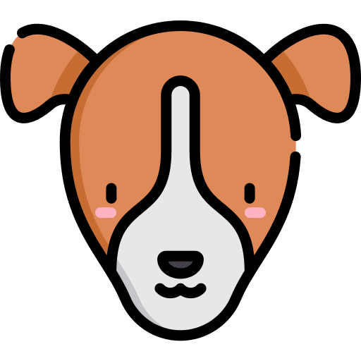 Jack russell terrier dog mammal pet icon