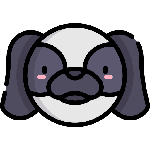 Japanese chin mammal animal kingdom pet icon