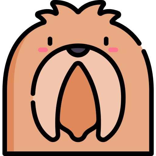 Pekingese mammal pet animal kingdom icon