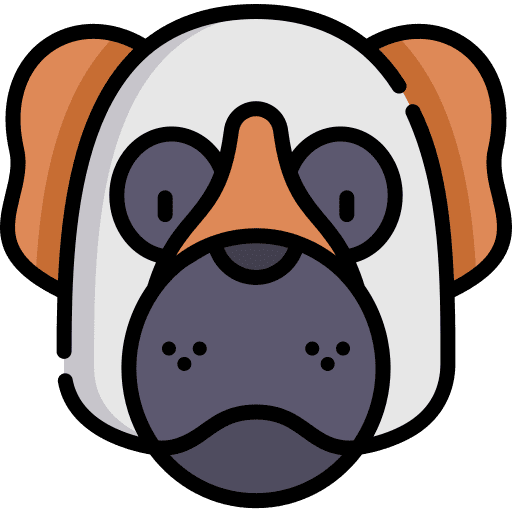 Saint bernard saint bernard animals animal kingdom icon