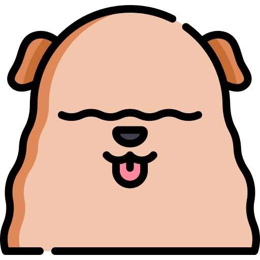 Bergamasco pet mammal animal kingdom icon