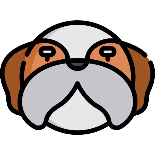 Shih tzu shih tzu animal kingdom animals icon