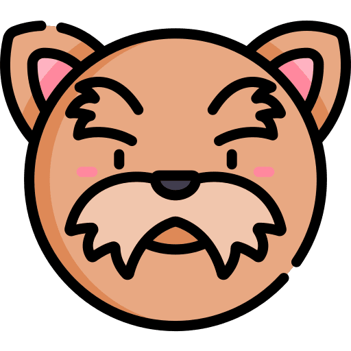 Yorkshire terrier mammal animal kingdom animals icon