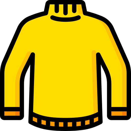 Jumper garment fashion clothes icon