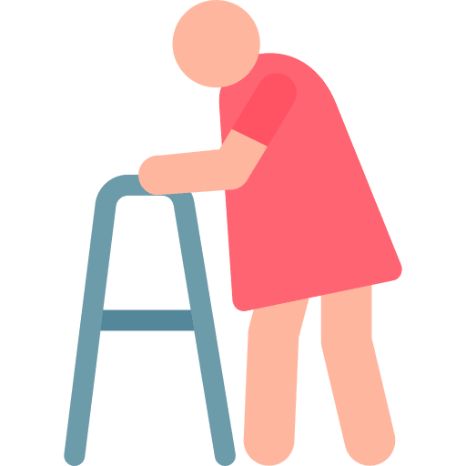 Old woman lady old woman icon