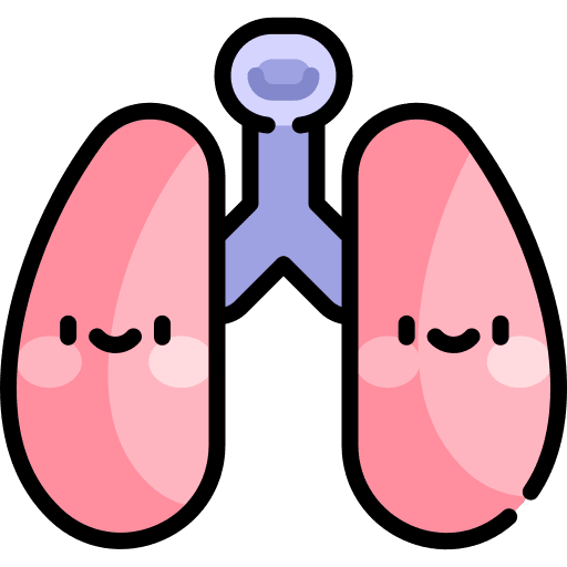 Lungs healthcare and medical breath organ icon