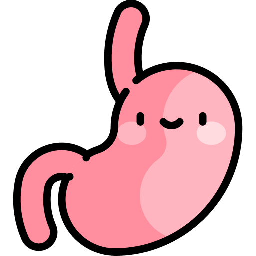 Stomach healthcare and medical organ stomach icon