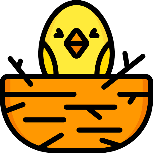 Chick chick bird nest icon