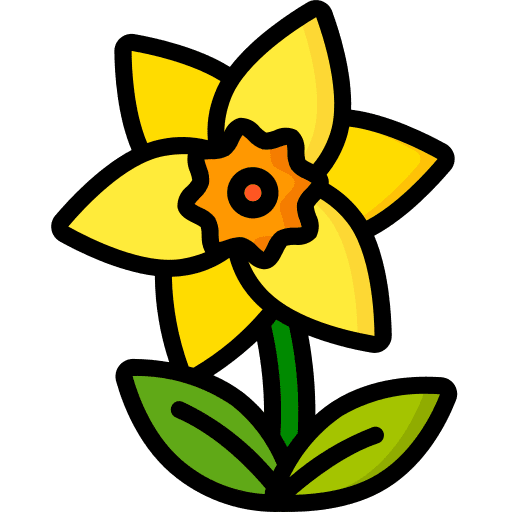 Daffodil nature flower blossom icon
