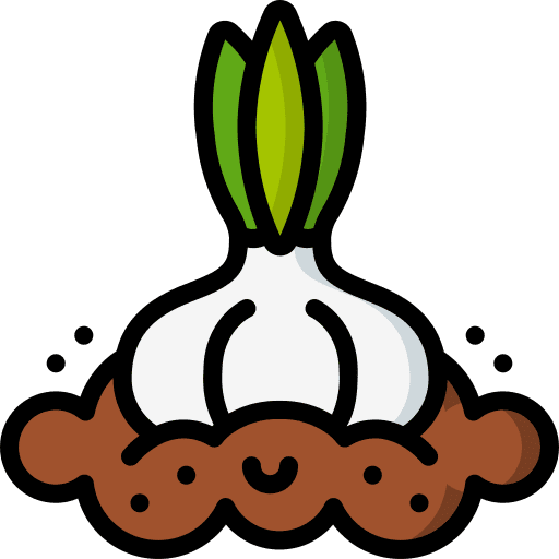 Garlic garlic vegetarian clove garlic icon