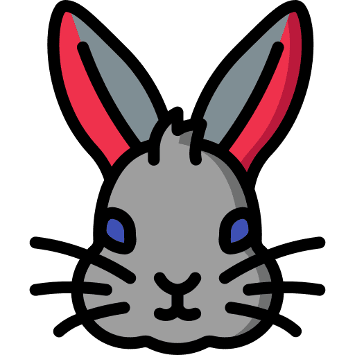 Rabbit fluffy rabbit animals icon