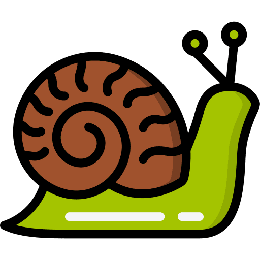 Snail animal pests animals icon