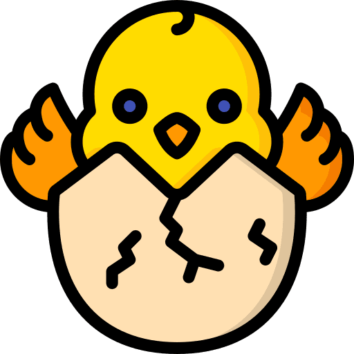 Chick egg animals chicken icon