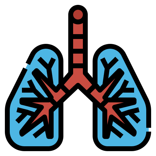Lungs virus protective coronavirus icon