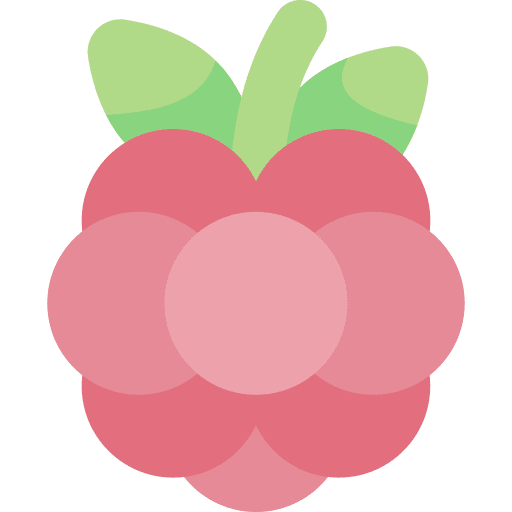 Berry berry organic viburnum fruit icon