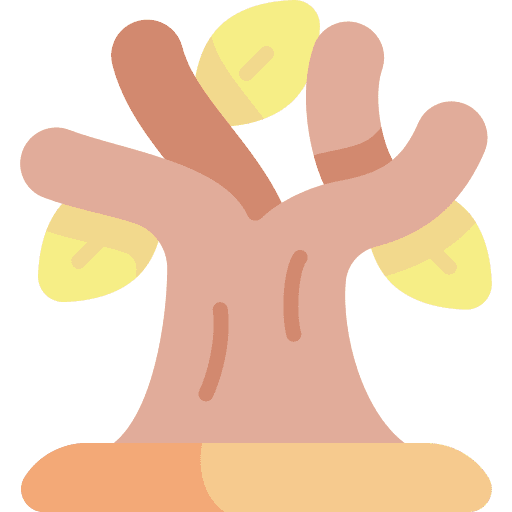 Dry tree botanical dry tree forest icon