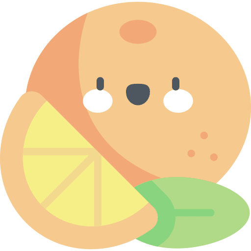 Orange vegetarian organic healthy food icon