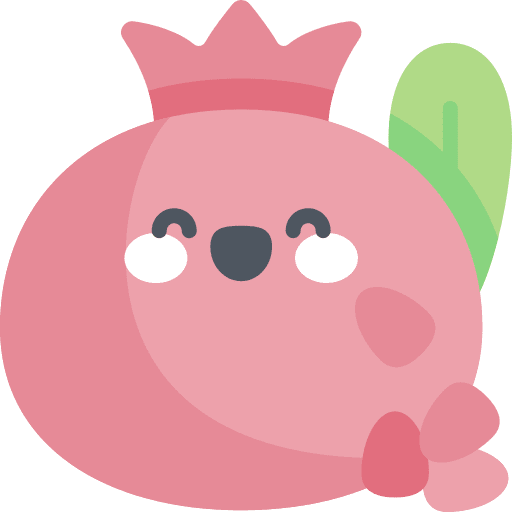 Pomegranate healthy food vegetarian pomegranate icon