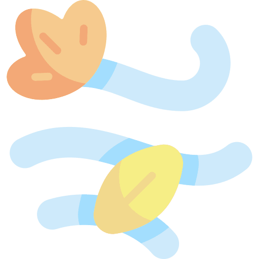 Wind wind autumn botanical icon