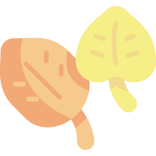 Leaves leaves season nature icon