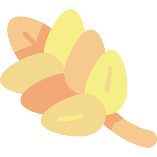 Wheat food and restaurant cereal grain icon