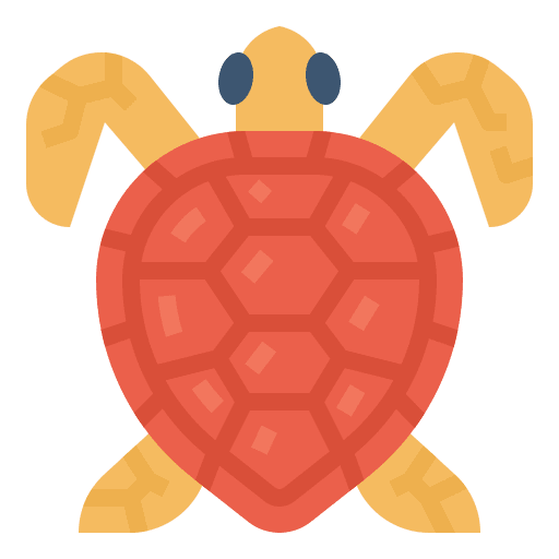 Turtle turtle marine ocean icon