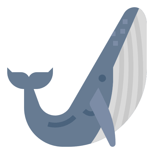 Whale animal sea animals icon