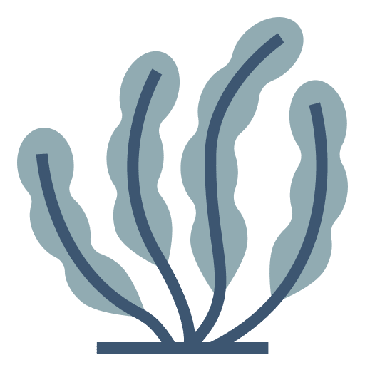 Seaweed aquatic seaweed nature icon