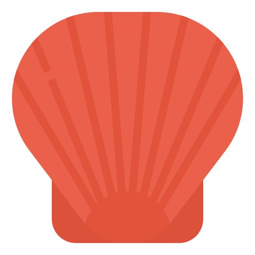 Shell marine shell sea icon