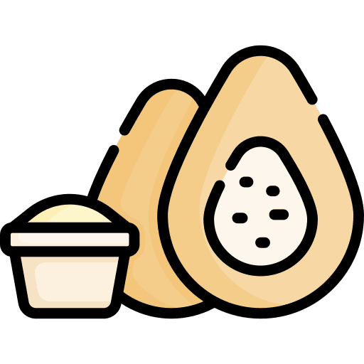 Coxinha brazil food traditional dish icon
