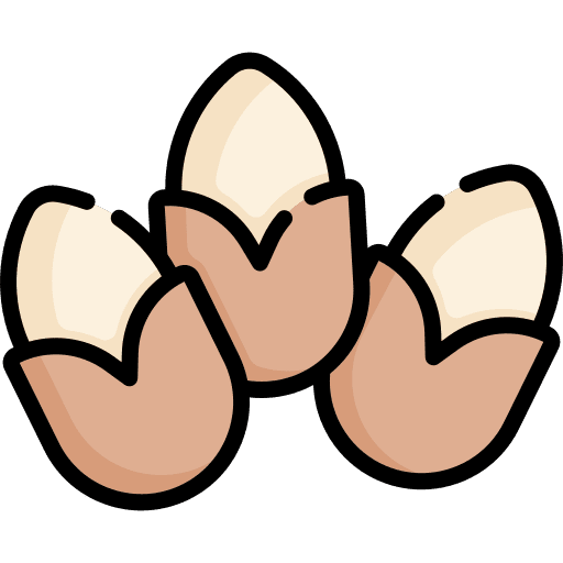 Pistachio food and restaurant pistachio snack icon