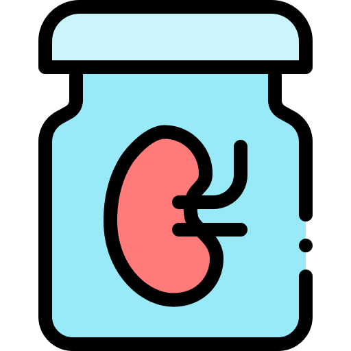 Body organ body organ learning school icon