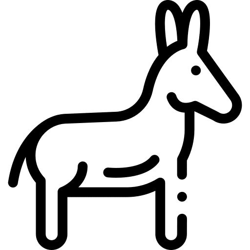 Donkey mammal animal kingdom donkey icon