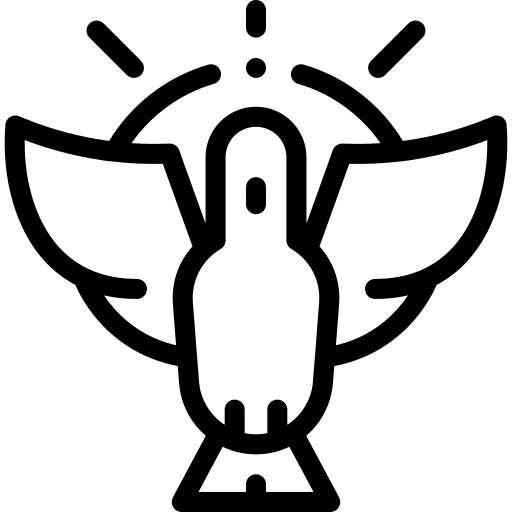 Holy spirit cultures animal dove icon