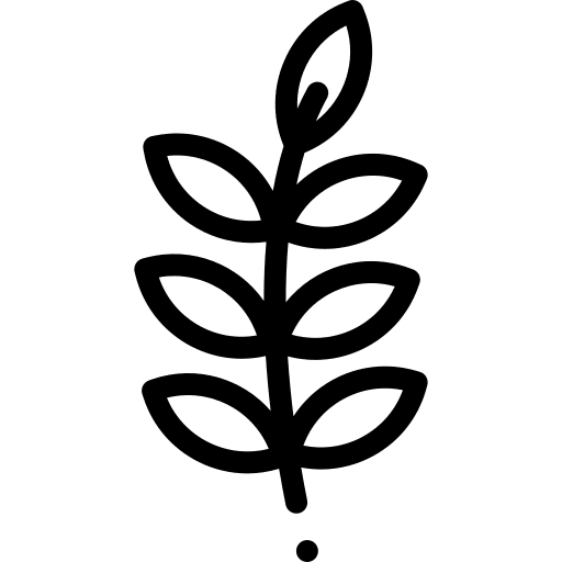 Olive branch leaves leaf icon