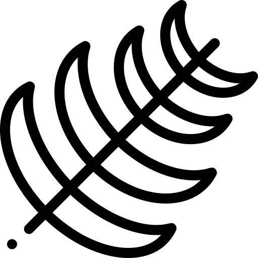 Palm nature leaves palm icon