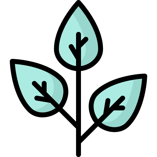 Leaves plant nature branch icon
