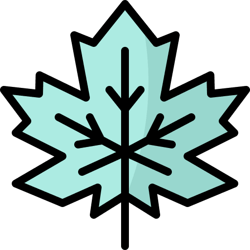 Maple leaf botanical nature plant icon