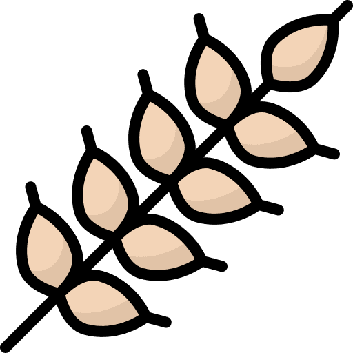 Grain rice farming and gardening nature icon