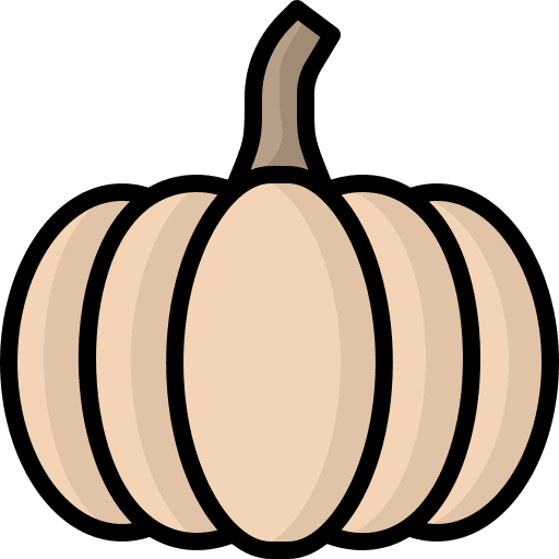 Pumpkin healthy food organic diet icon