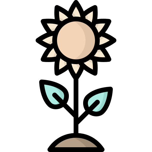 Sunflower nature botanical sunflower icon