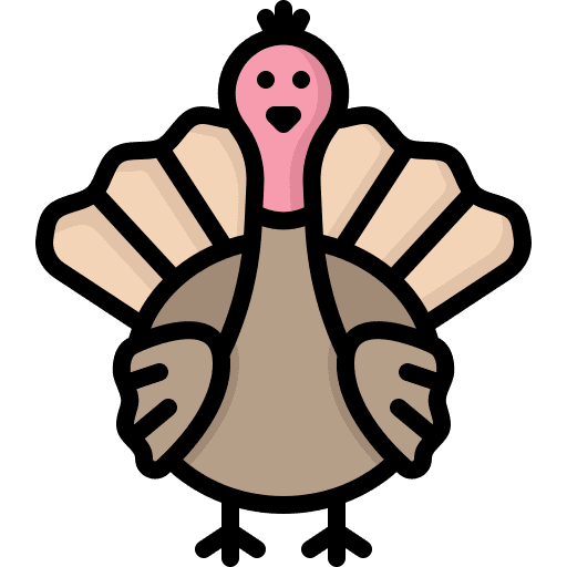 Turkey animals thanksgiving bird icon